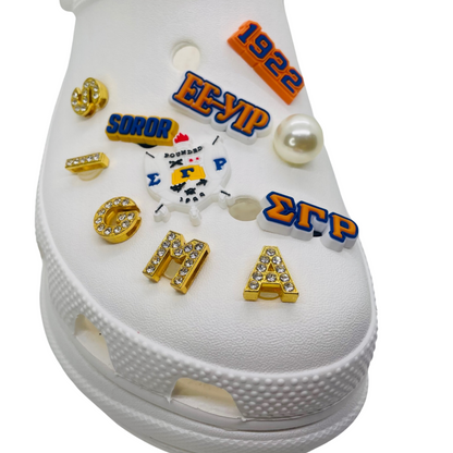 SIGMA GAMMA RHO CHARMS